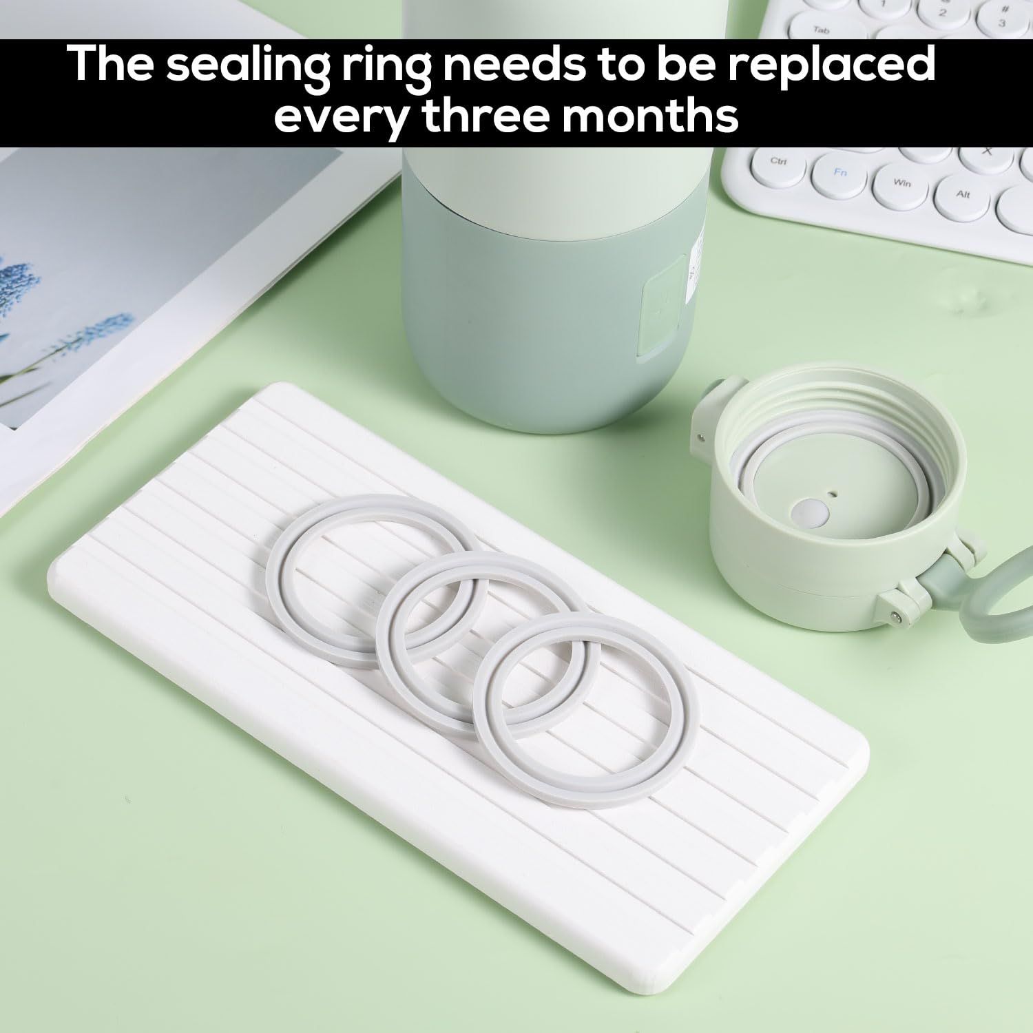 BOXOB seal ring diameter 6cm shows compatibility with BOLOLO warmer.