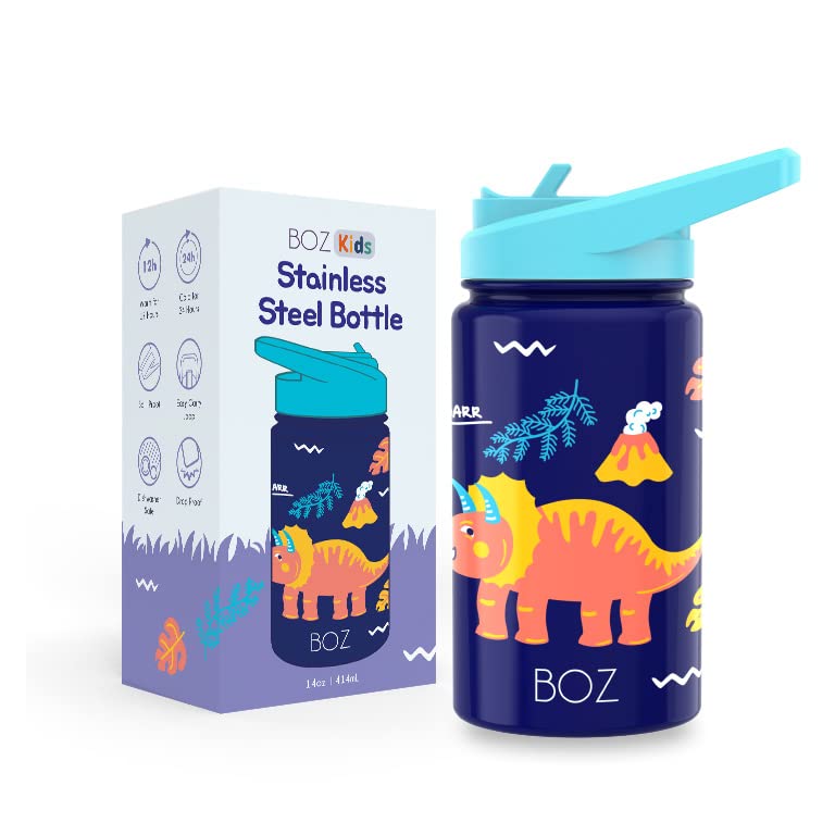 BOZ Kids Water Bottle dinosaur-print variety highlights playful options for hydration