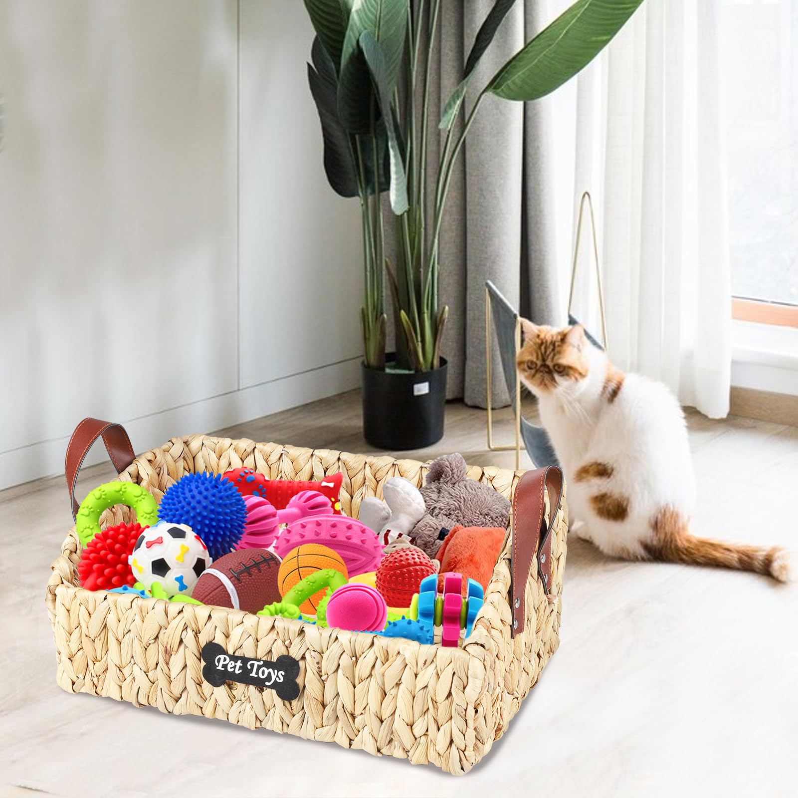 Brabtod trapezoid pet toy bin full-toy-storage keeps ten small or several larger toys organized.
