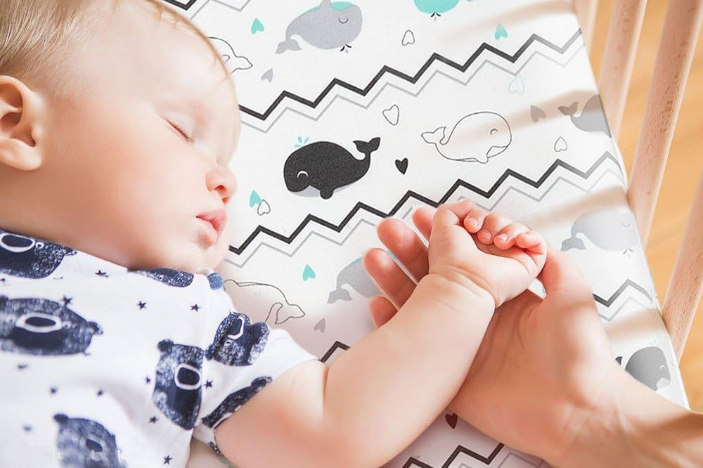 BROLEX two-pack provides convenient replacements for busy parents.