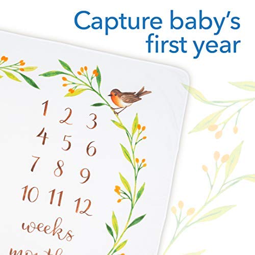 Bubzi Co blanket numbers for weeks enable easy monthly milestone photos