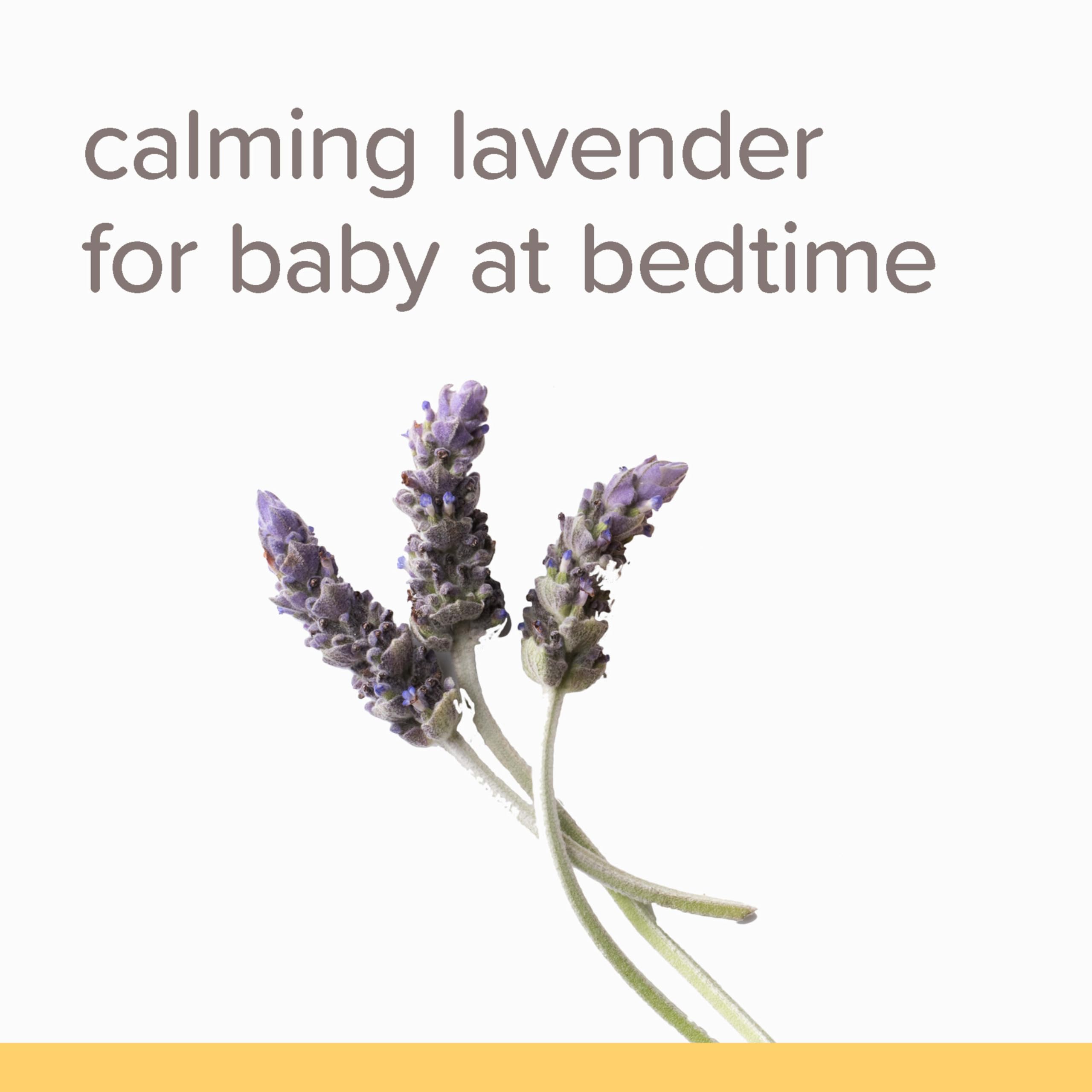 Burt's Bees Baby Calming Shampoo Lavender bottle highlights soothing bedtime routine.