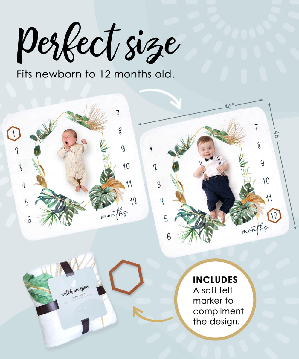Calloo baby on blanket demonstrates versatile photo moments from newborn to twelve months.