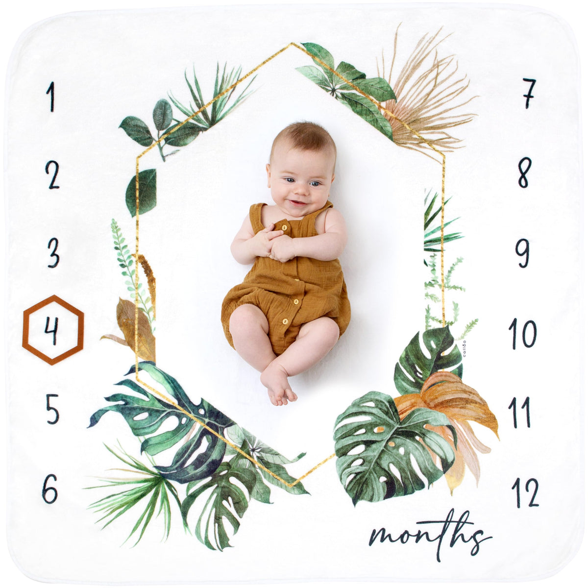 Calloo baby monthly milestone blanket tropical full setup perfect for memorable growth photos.
