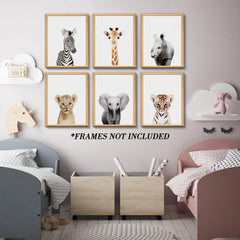 CalmArt jungle prints with white background ideal for modern nursery design