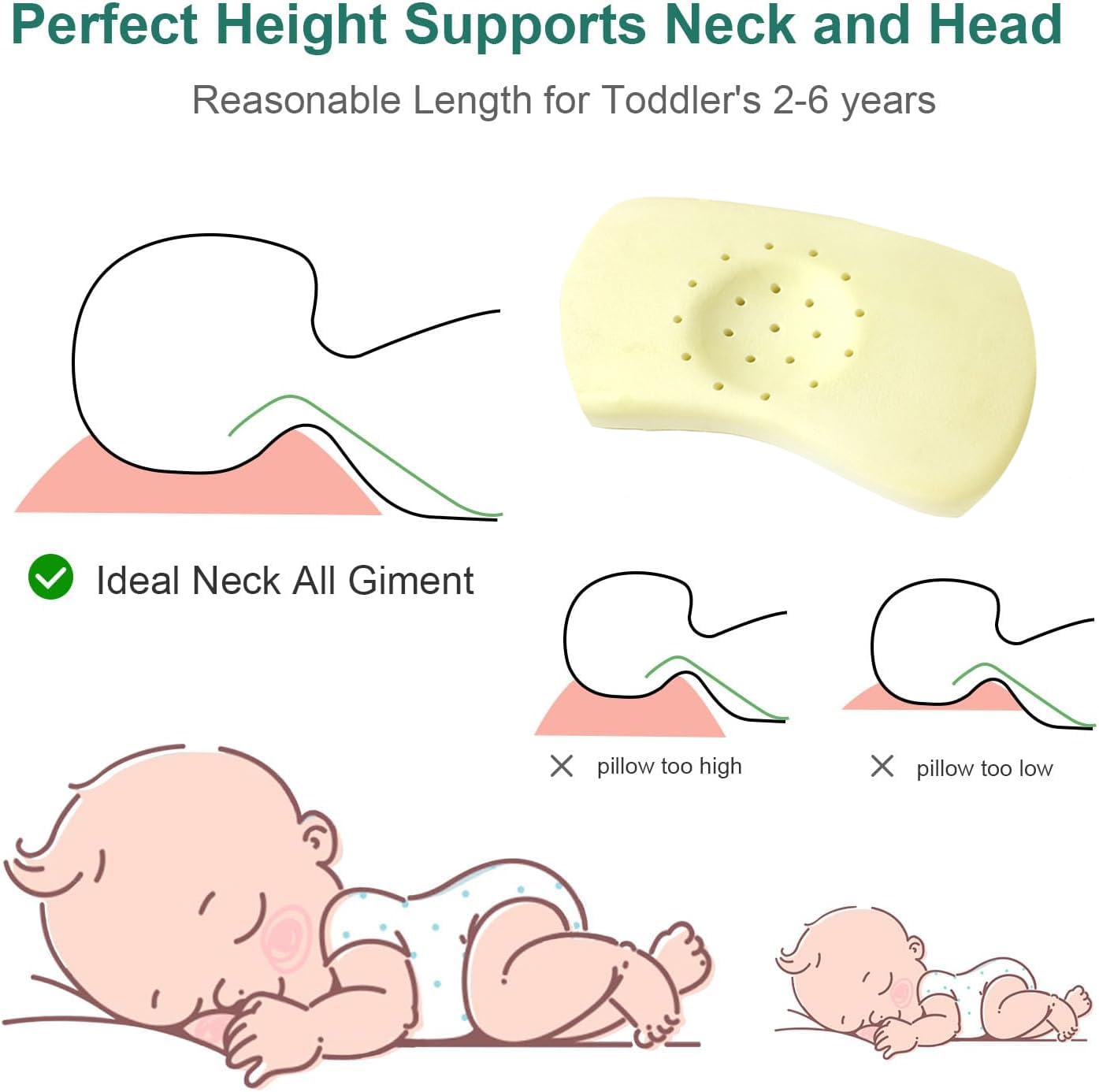 Caudeer Soft Toddler Pillow open-cell organic latex provides breathable, temperature-regulated naps.