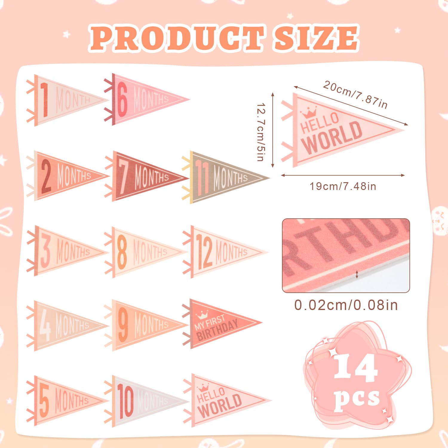 Cecliy Hello World pennant adds welcoming vibes to newborn shoots and celebrations.