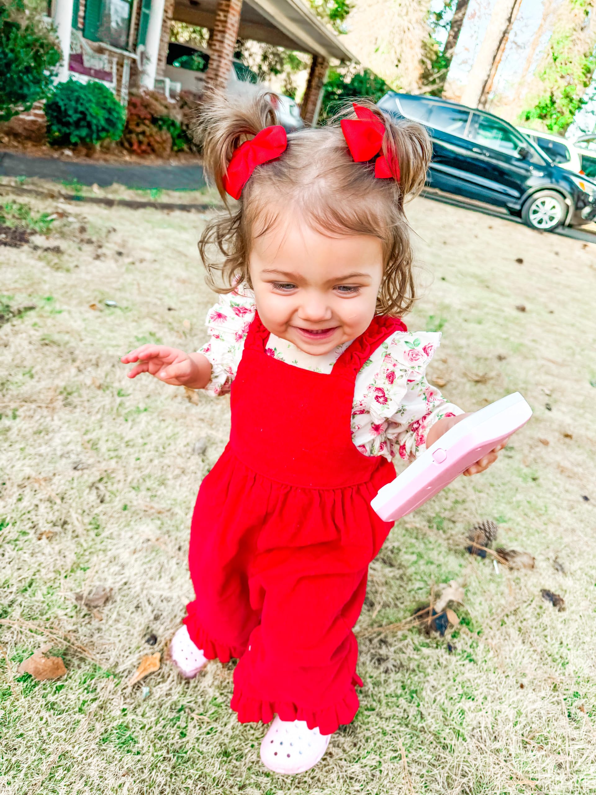 Celllot variety color bows in paired sets for styling.