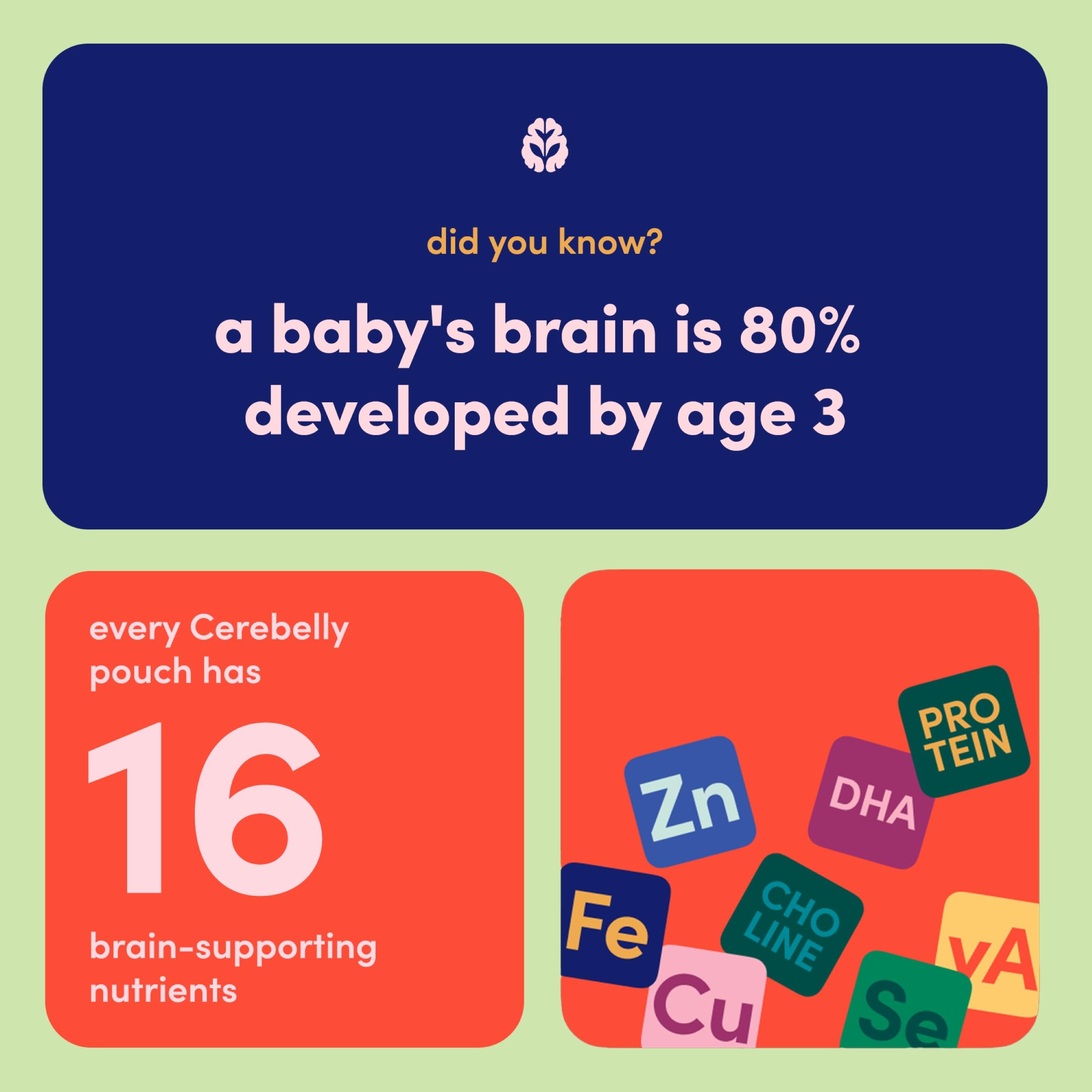 Cerebelly graphic of 16 brain-supporting nutrients on pouch design