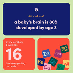 Cerebelly graphic of 16 brain-supporting nutrients on pouch design