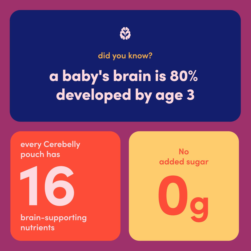 Cerebelly 16 nutrients graphic emphasizing potassium iron and vitamin D