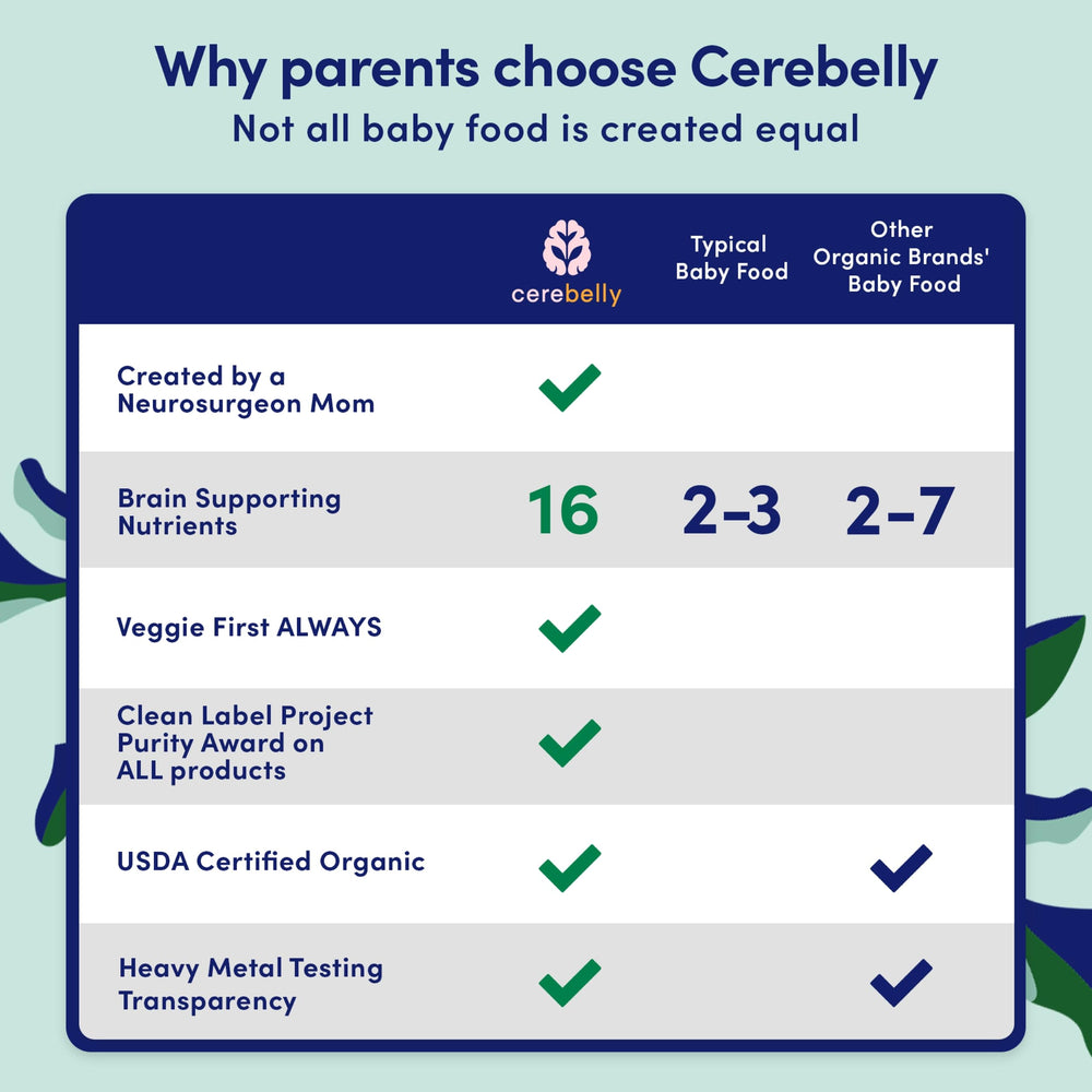 Cerebelly carrot beef bone broth puree pouch designed for baby and toddler snacking.