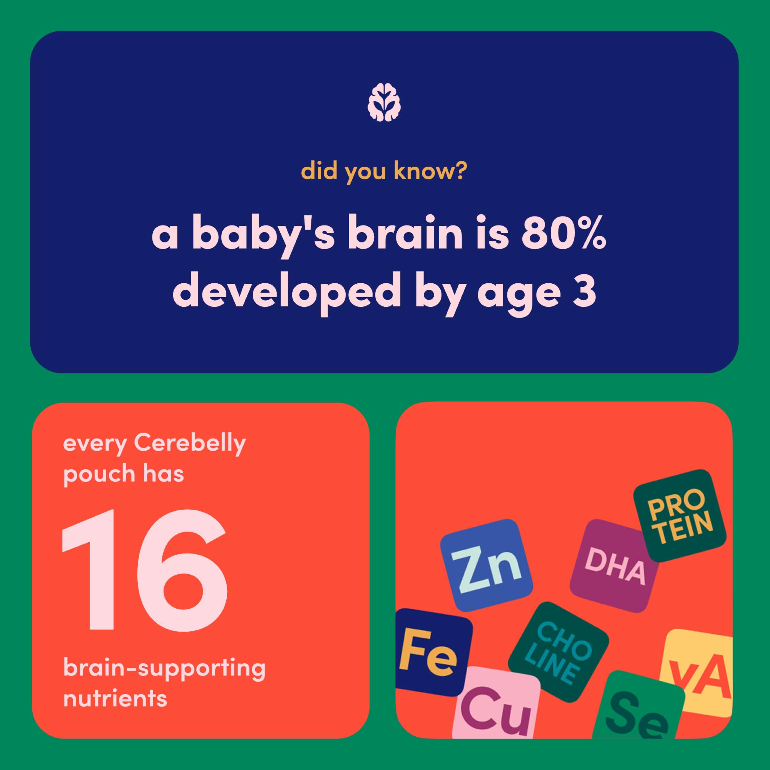 Cerebelly label with expiration dates and lot codes for safety and transparency