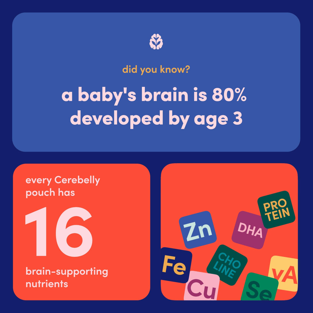 Cerebelly no added sugar label communicates clean fueling