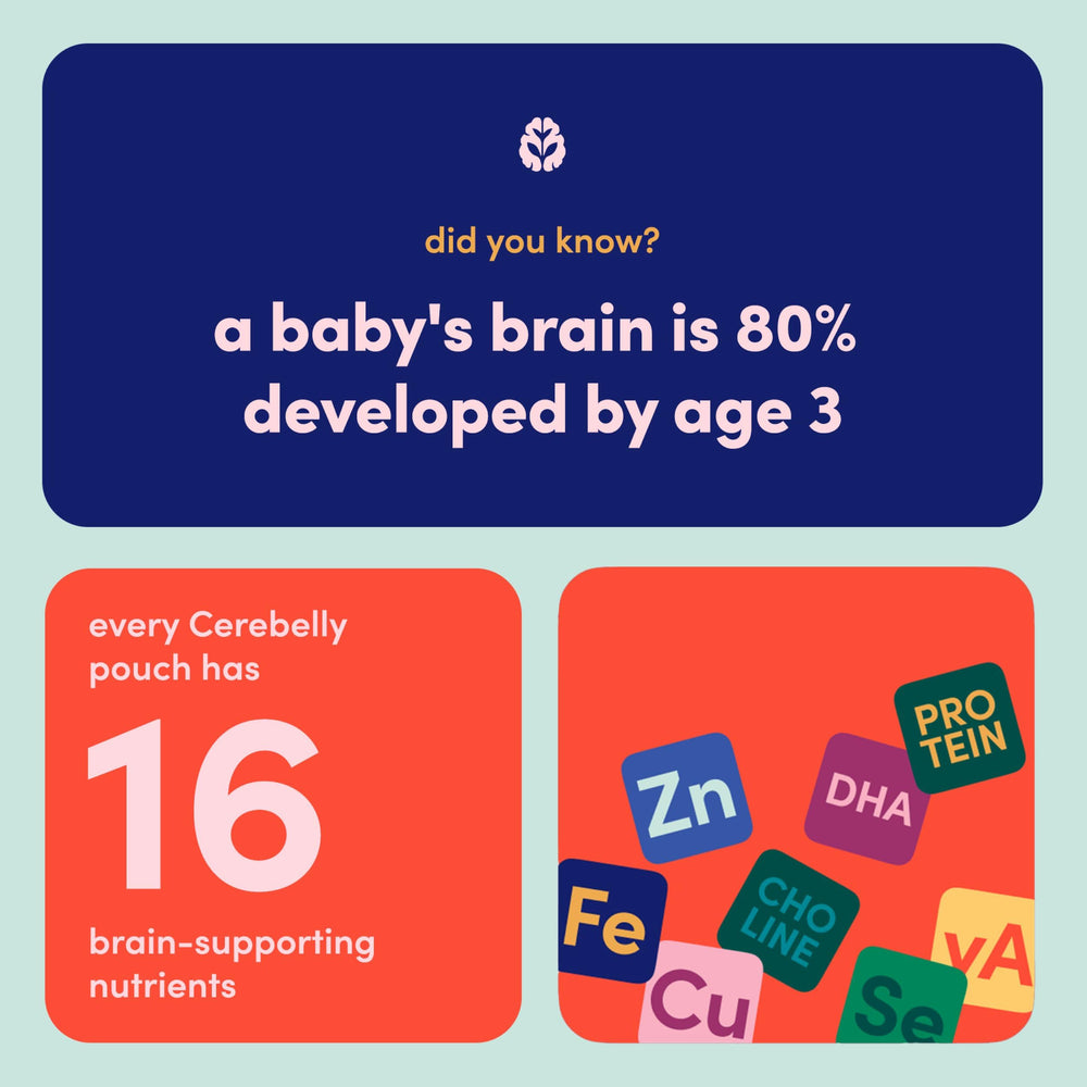 Cerebelly no-added-sugar pouch emphasizes gluten-free, dairy-free toddler snack options.