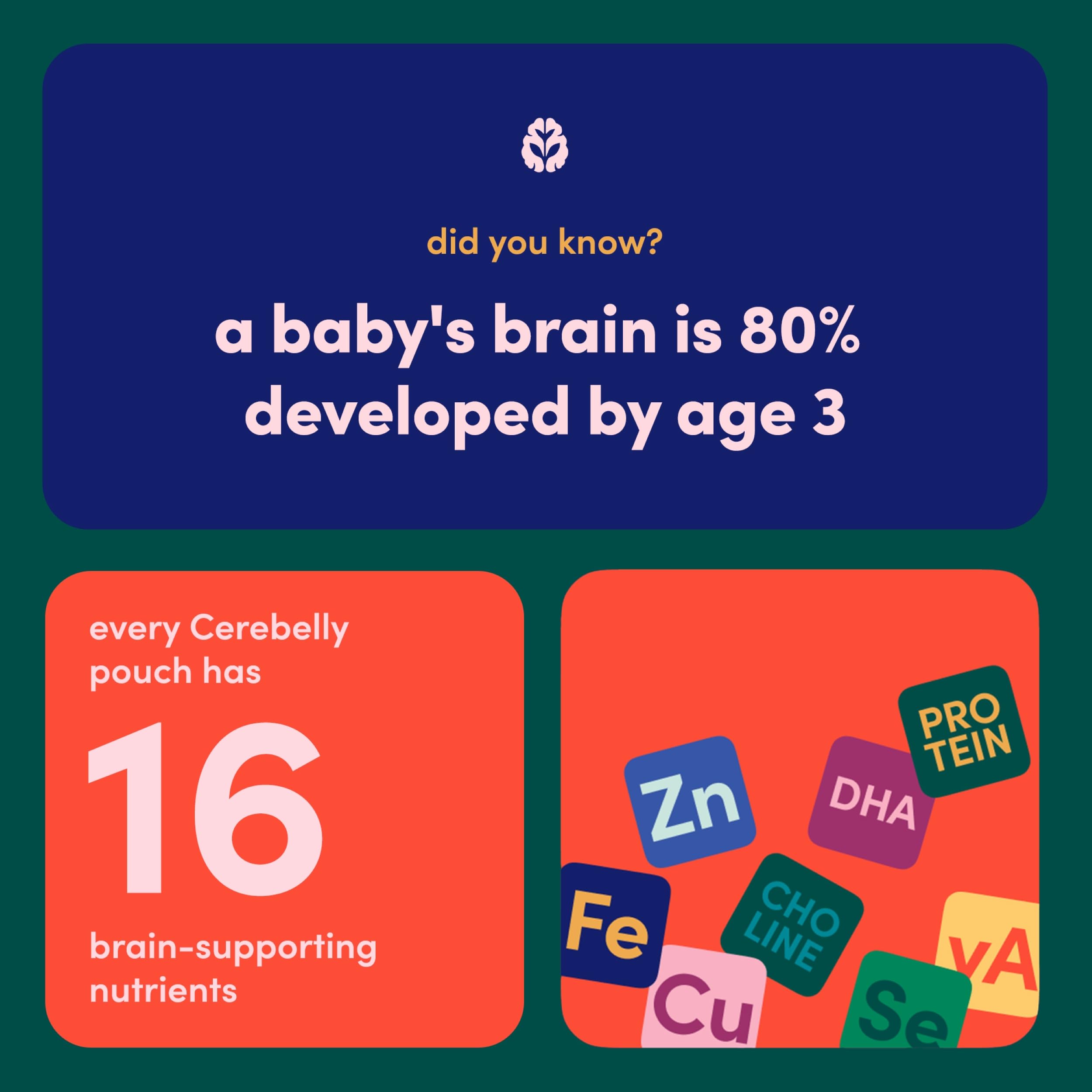 Cerebelly pouch demonstrates no added sugar for veggie-forward snacks.