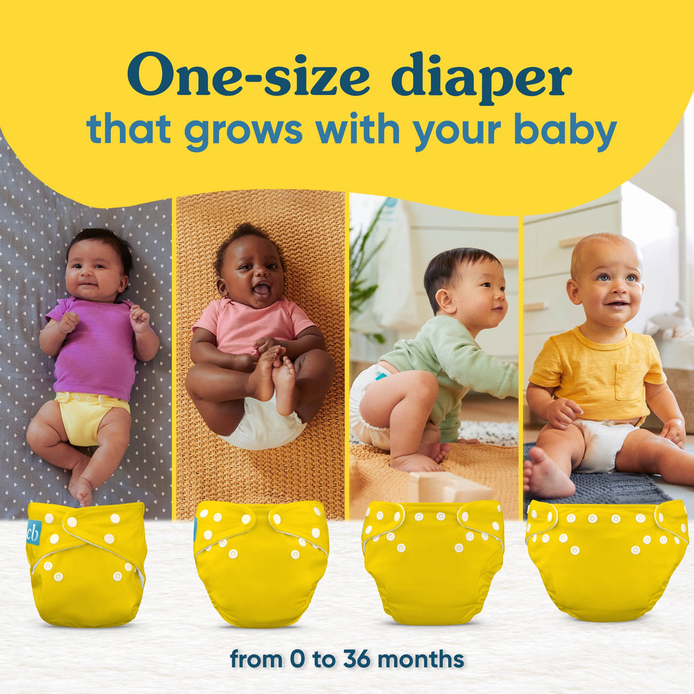 Charlie Banana back elastic and leak protection design with wide back for secure fit.