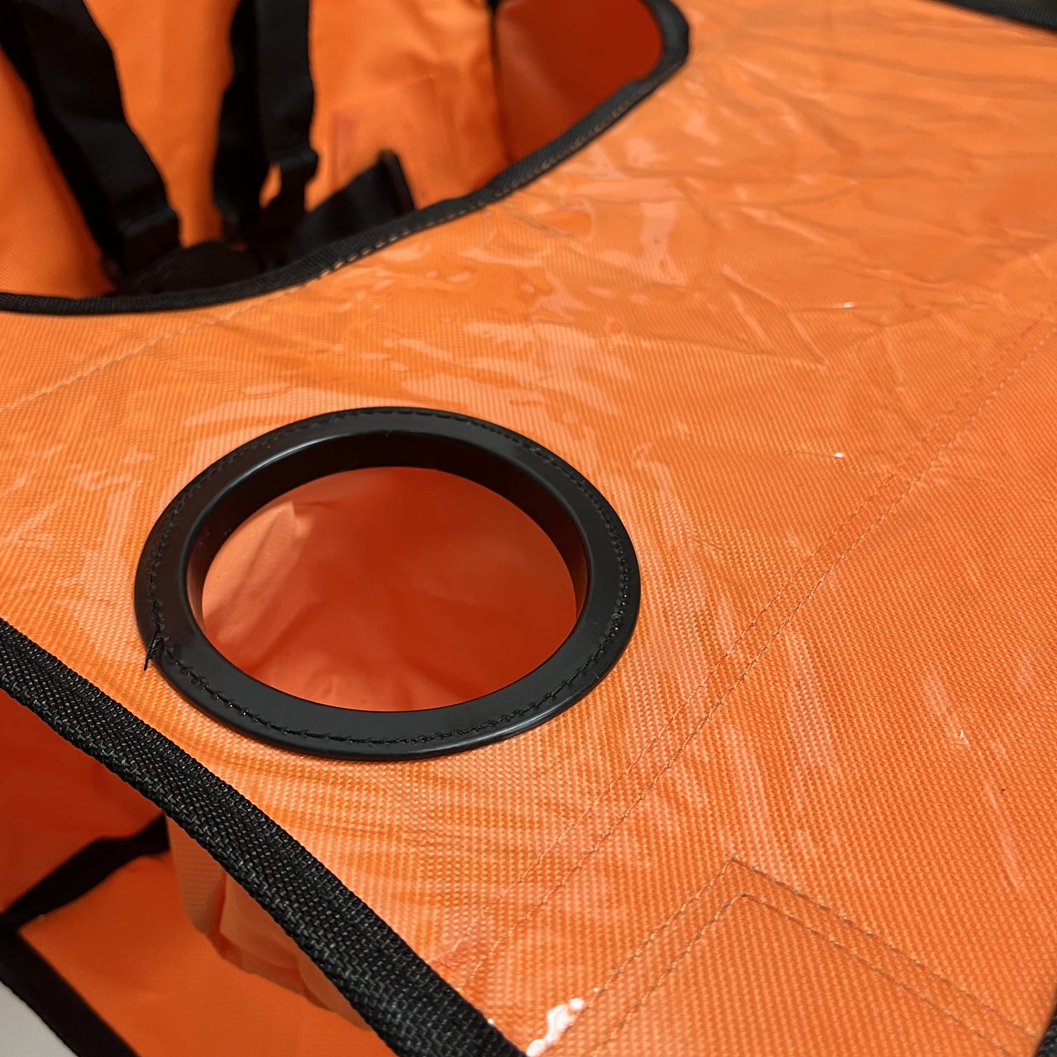 ciao! baby five-point harness ensures secure seating during outings