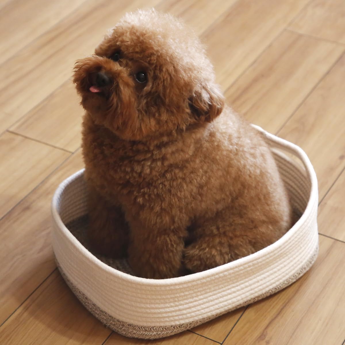 CIKI HOME compact basket fits small spaces for tidy shelves or desks.