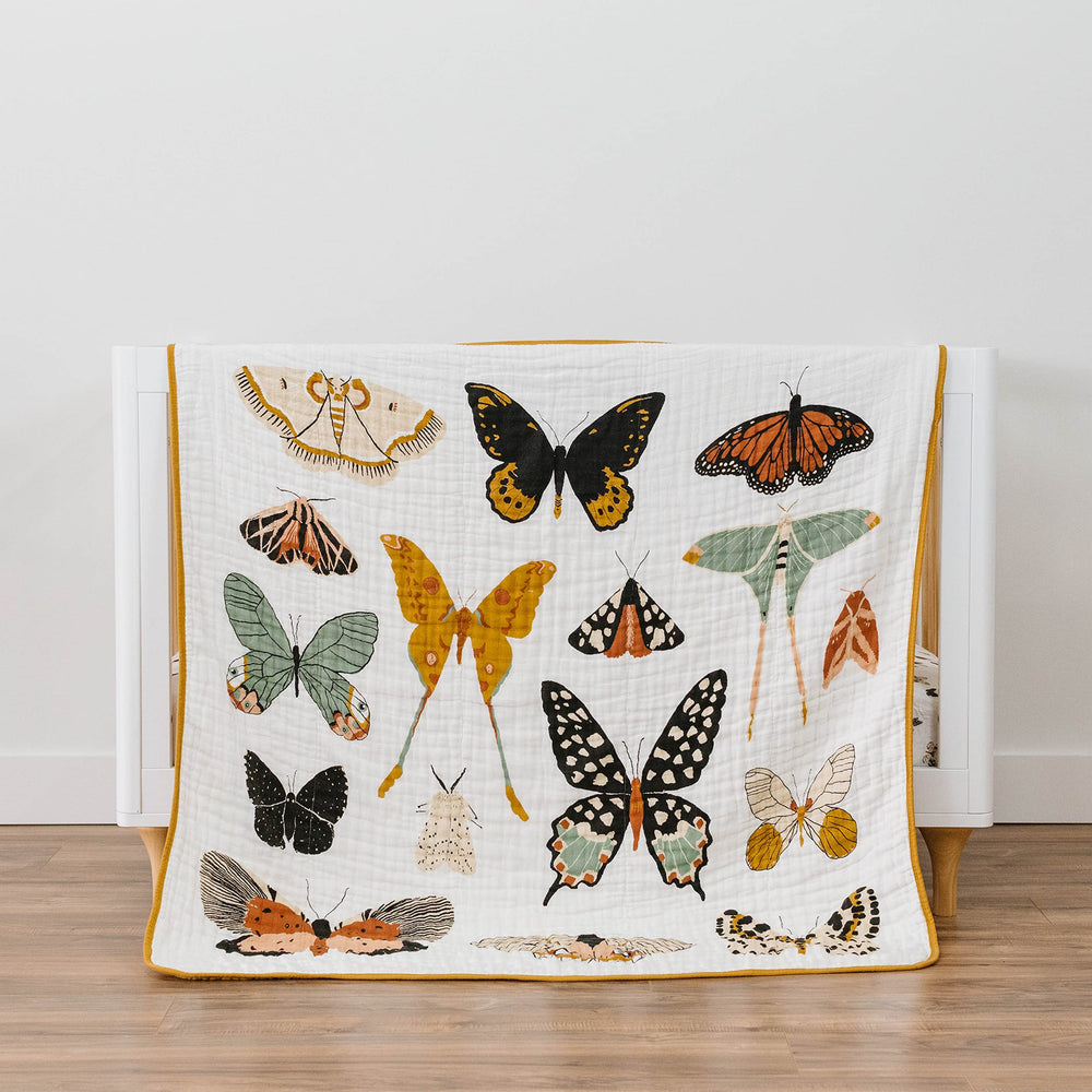Clementine Kids Butterfly Collector back solid color adds versatile outfit coordination