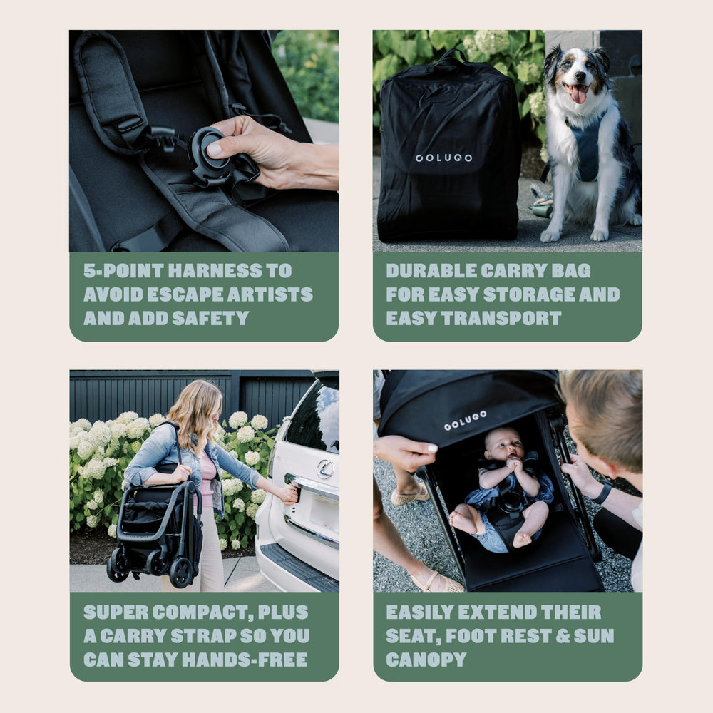 Colugo Compact Stroller powder-coated frame combines durability with modern style.
