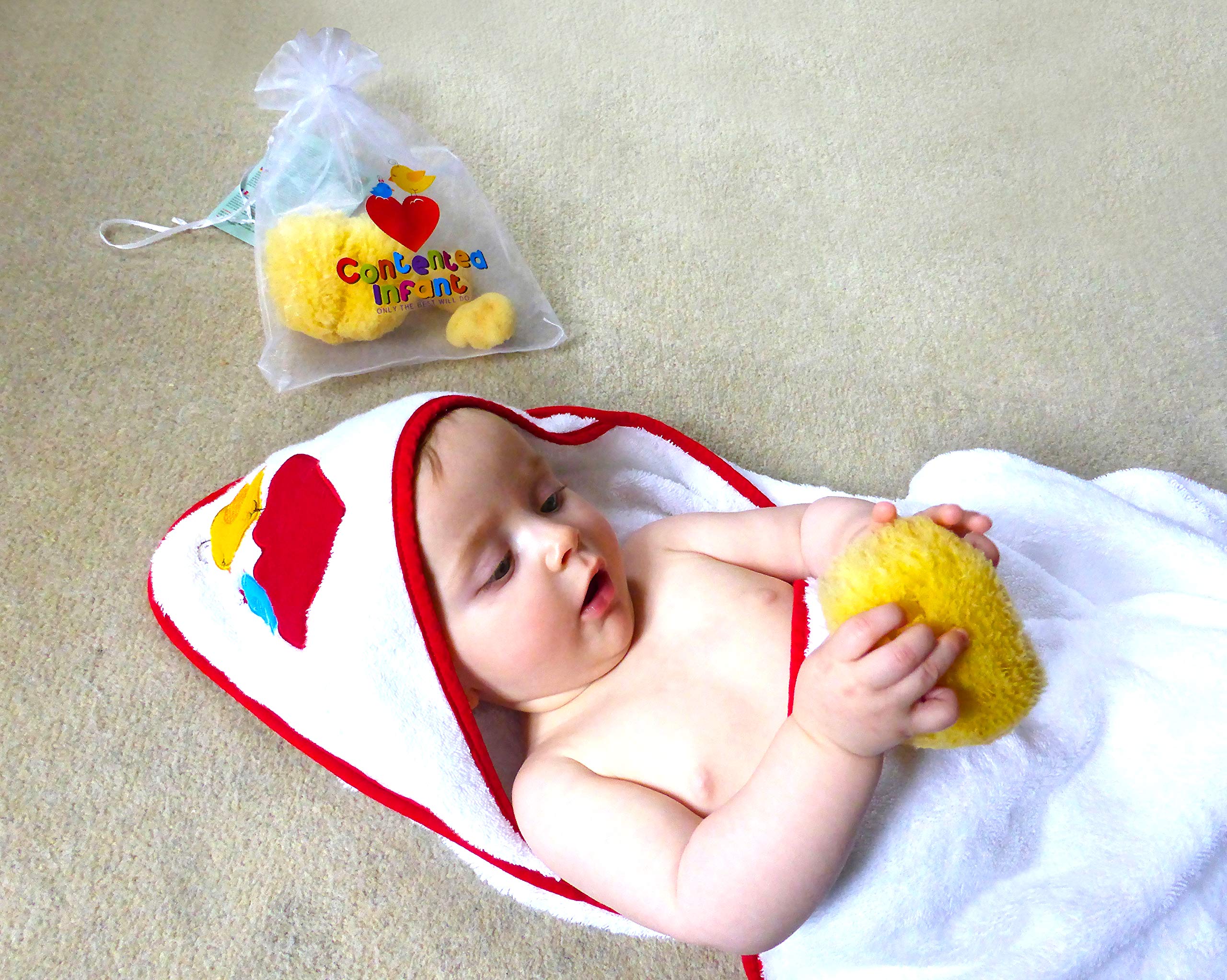 Contented Infant family-use sponges for adults shown, versatile for multiple baths