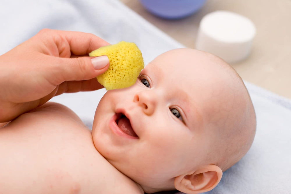Contented Infant renewable resources label emphasizes eco-friendly harvest and sustainability
