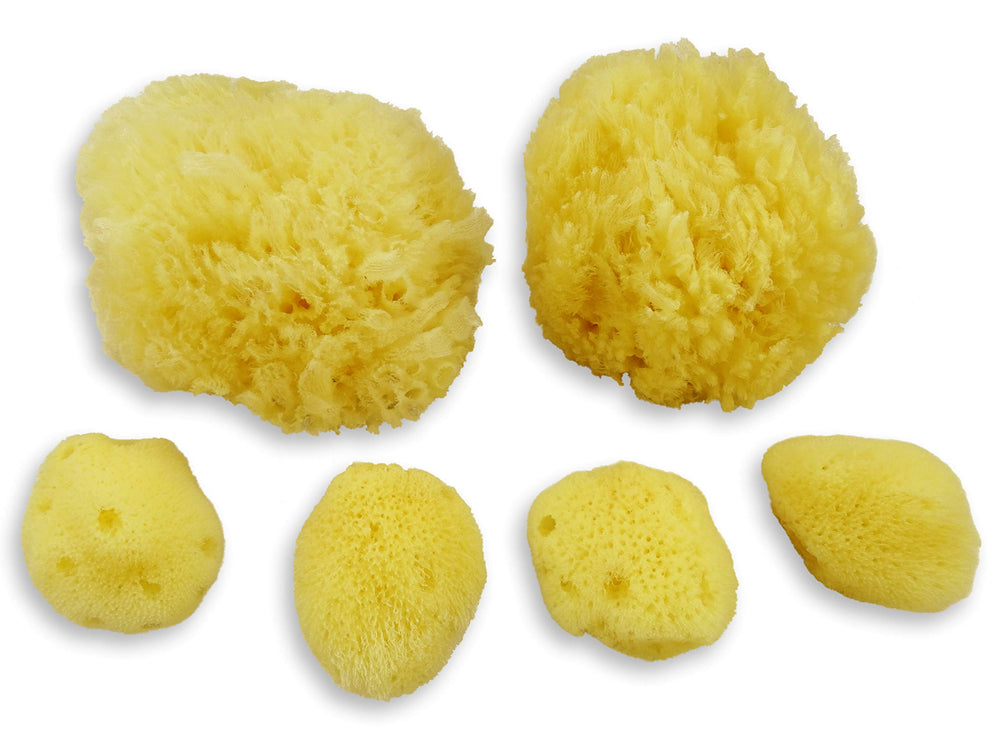 Contented Infant sea sponges baby gift pack demonstrates thoughtful, sustainable bath routine