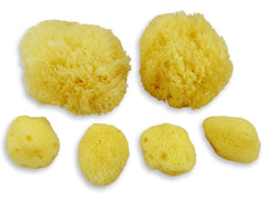 Contented Infant sea sponges baby gift pack demonstrates thoughtful, sustainable bath routine