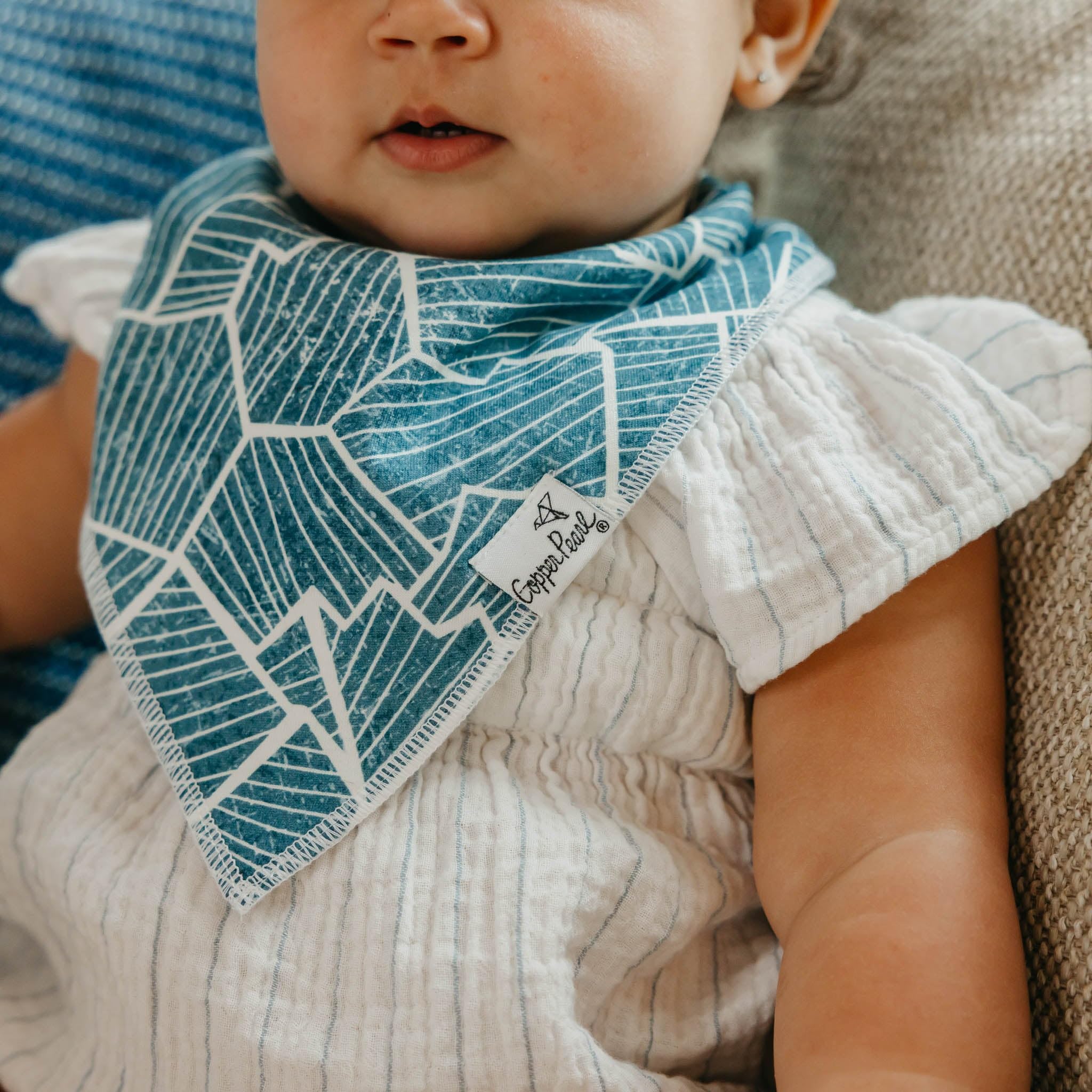 Copper Pearl Arctic Wonder Bandana Bib Set photography prop ready.