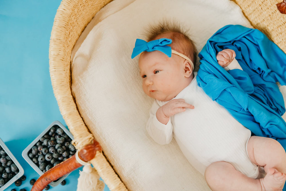 Copper Pearl Blueberry swaddle used as stroller shield during outings.