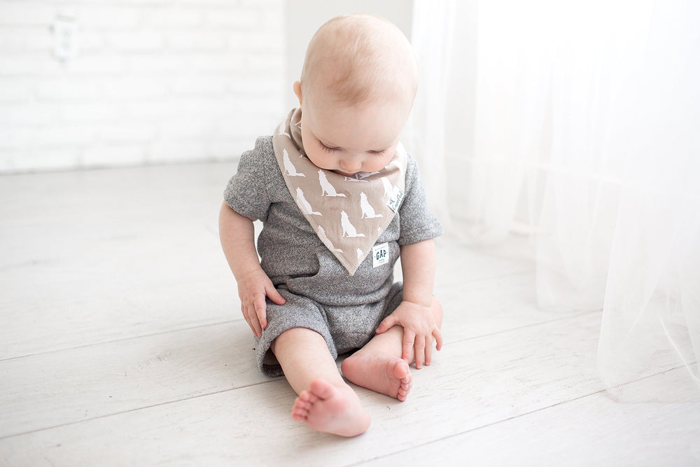Copper Pearl Phoenix bib on baby boy outfit features gender-neutral design.
