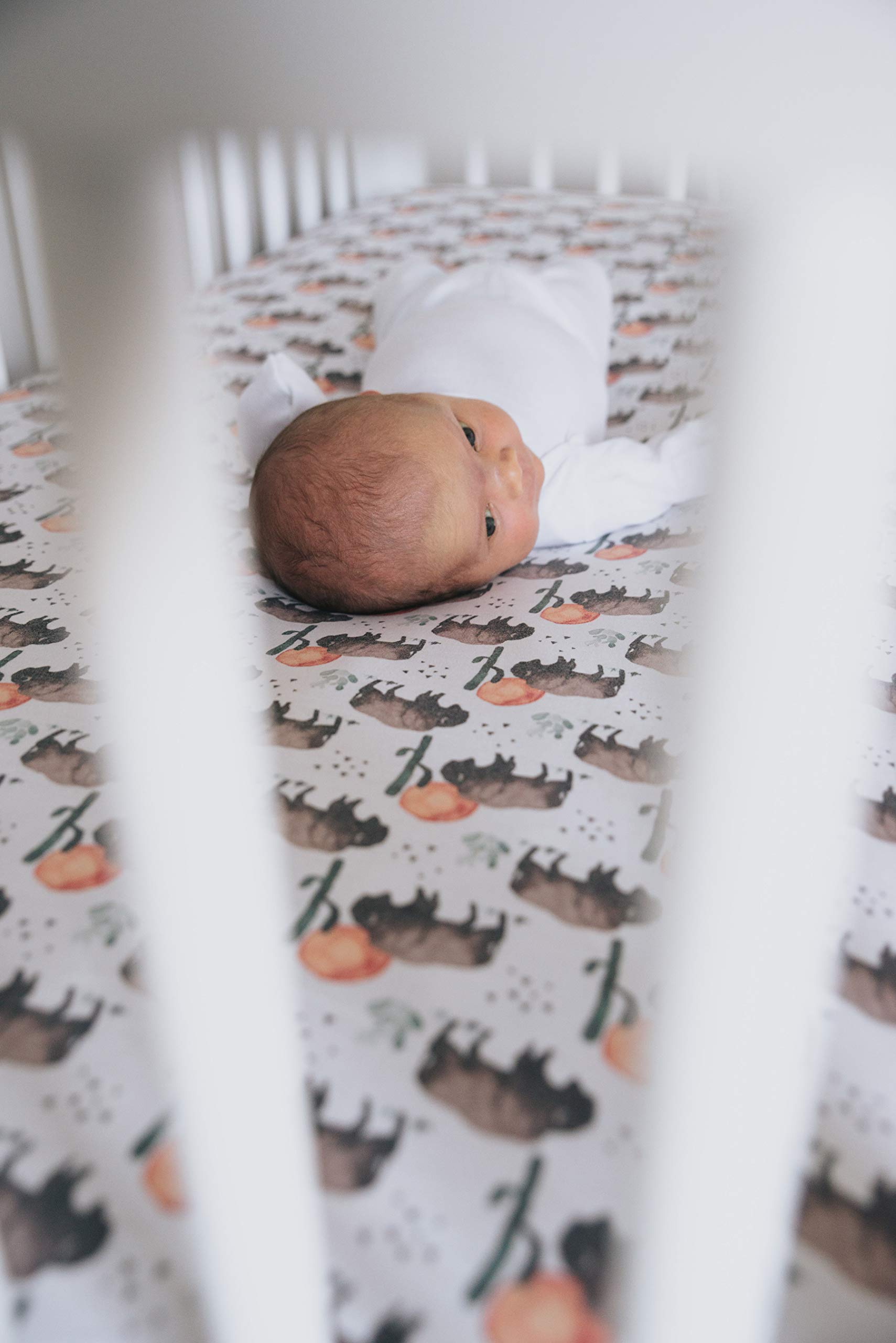 Copper Pearl premium knit crib sheet coordinated nursery design with other Copper Pearl products