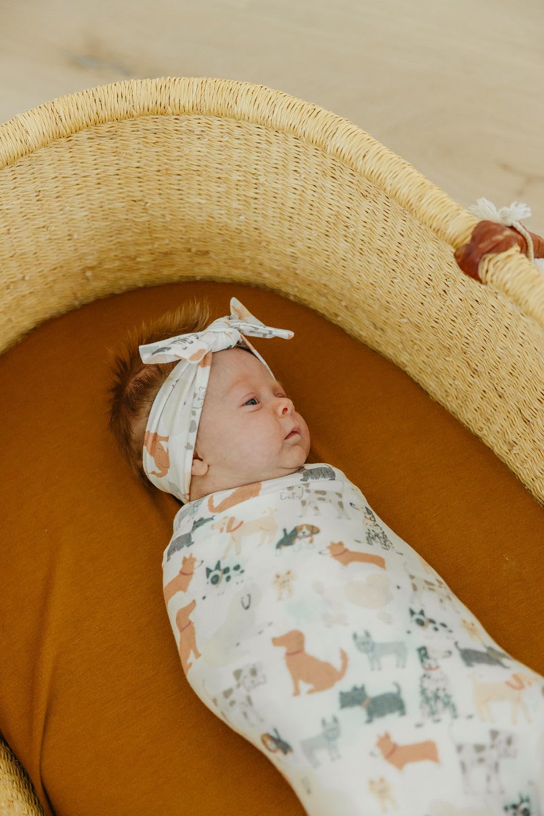 Copper Pearl Rufus stroller-shield provides travel-friendly protection during outings.