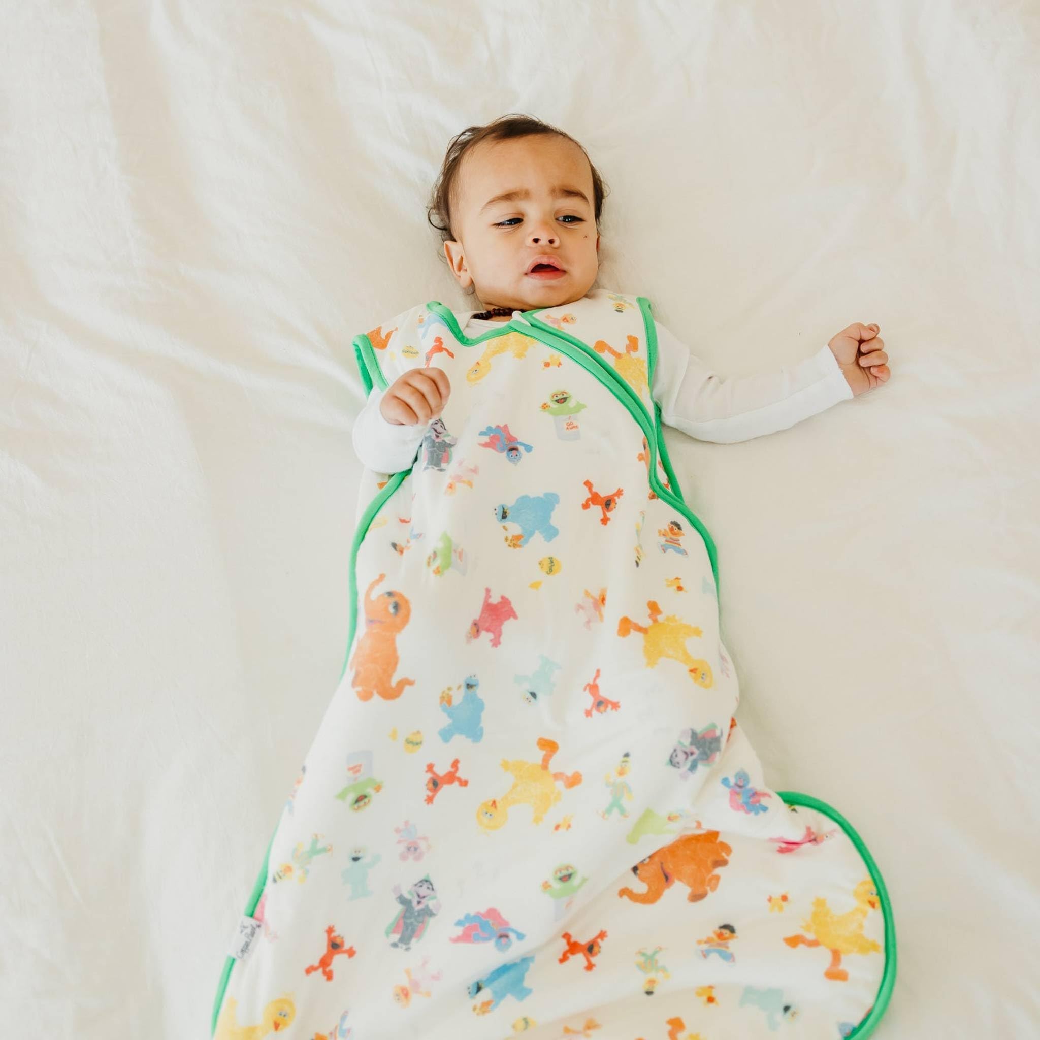 Copper Pearl Sleep Sack Sesame Friends pattern adds playful nursery style