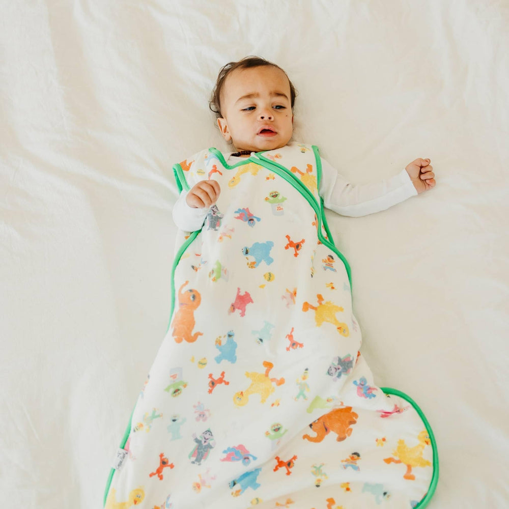 Copper Pearl Sleep Sack Sesame Friends pattern adds playful nursery style