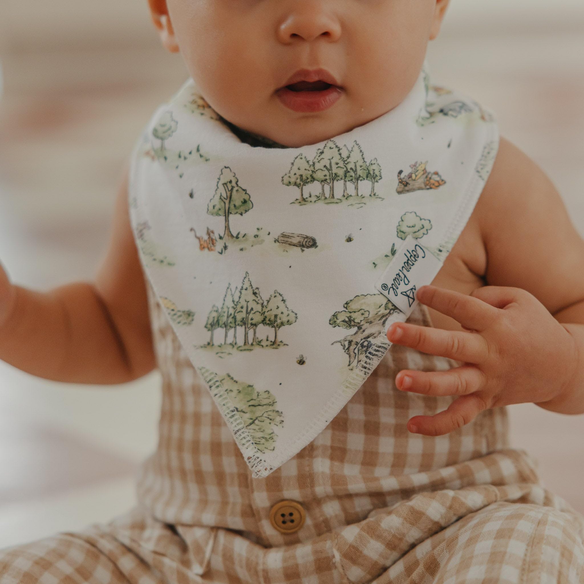 Copper Pearl Winnie Pooh bandana bib gift set ideal for baby showers.