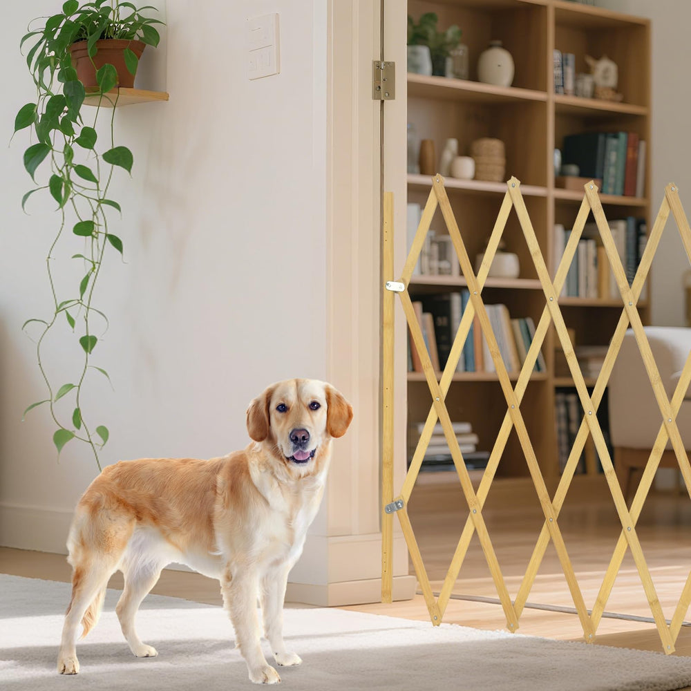 Costyle wooden dog gate in doorway showcases sturdy, space-saving design for homes.
