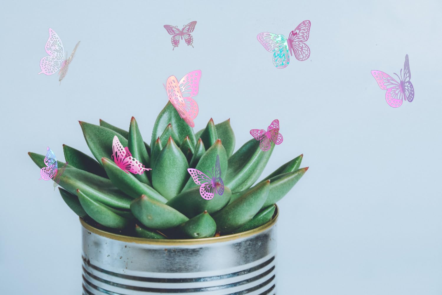 cpqakb laser pink butterflies shimmer with light, creating dynamic wall accents.
