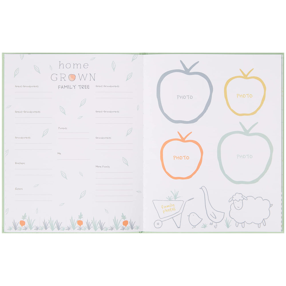 C.R. Gibson Carter's Homegrown memory book fruit and veggie art enhances sensory storytelling.