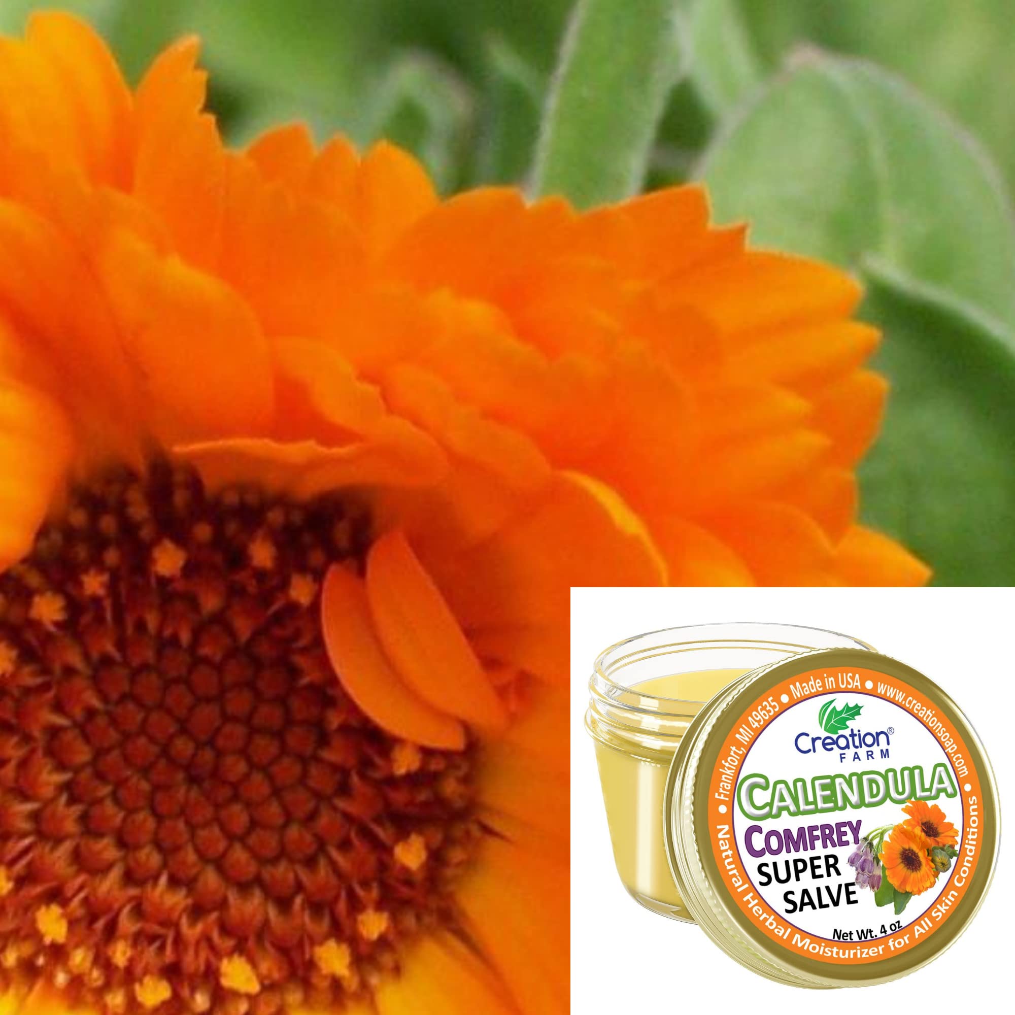 Creation Pharm Calendula Comfrey Salve on a dog's paw for winter care