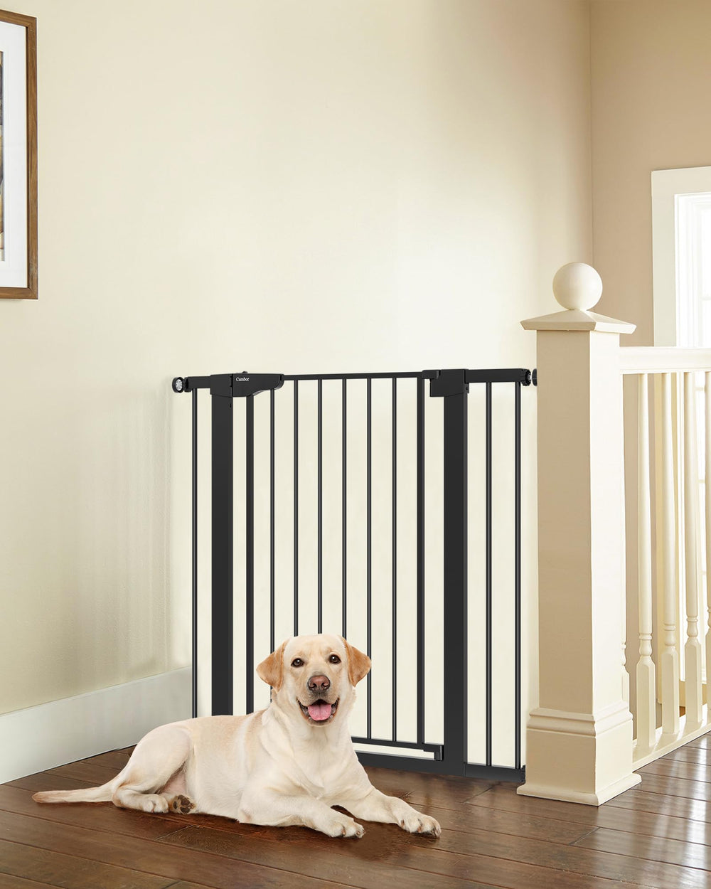 Cumbor 36 inch extra tall gate on stairs provides sturdy safety for curious toddlers