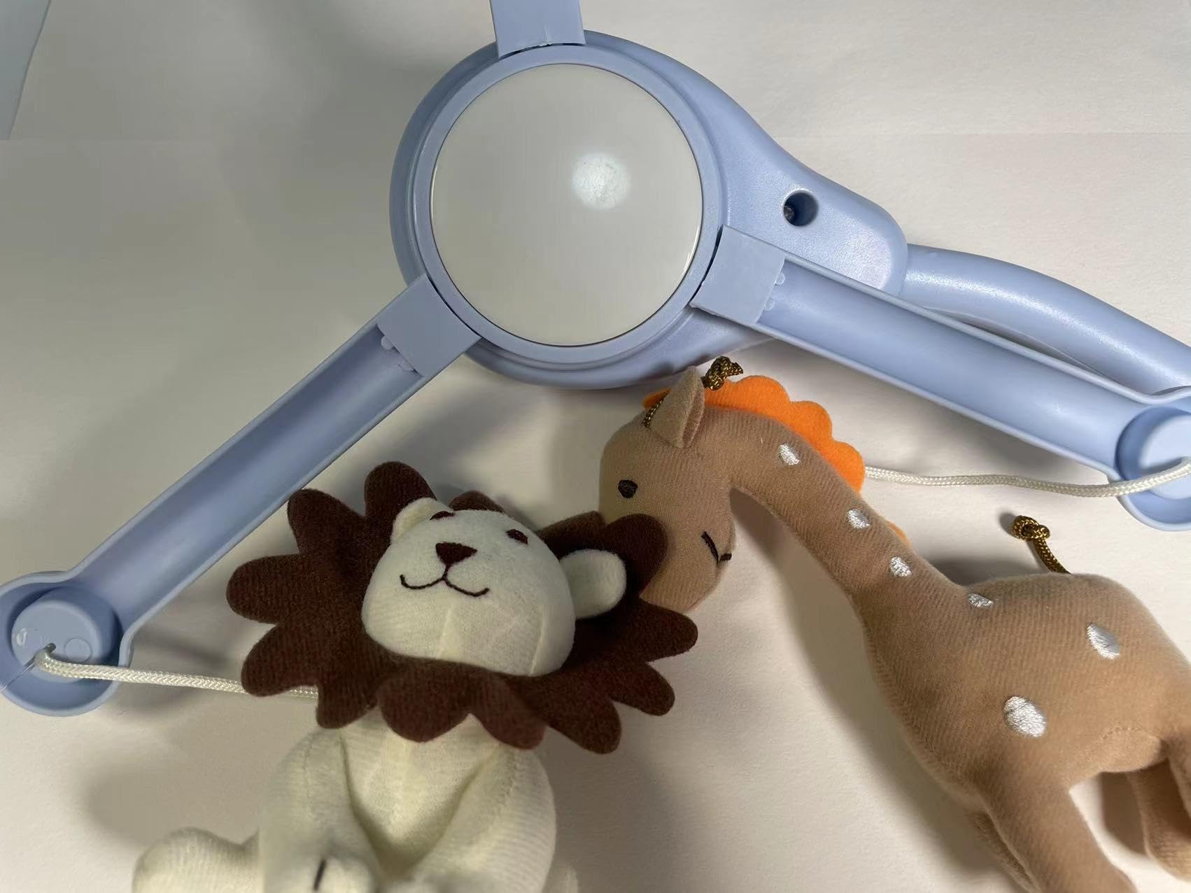 Cutie Pumpkin timer function allows convenient on/off scheduling for routines.