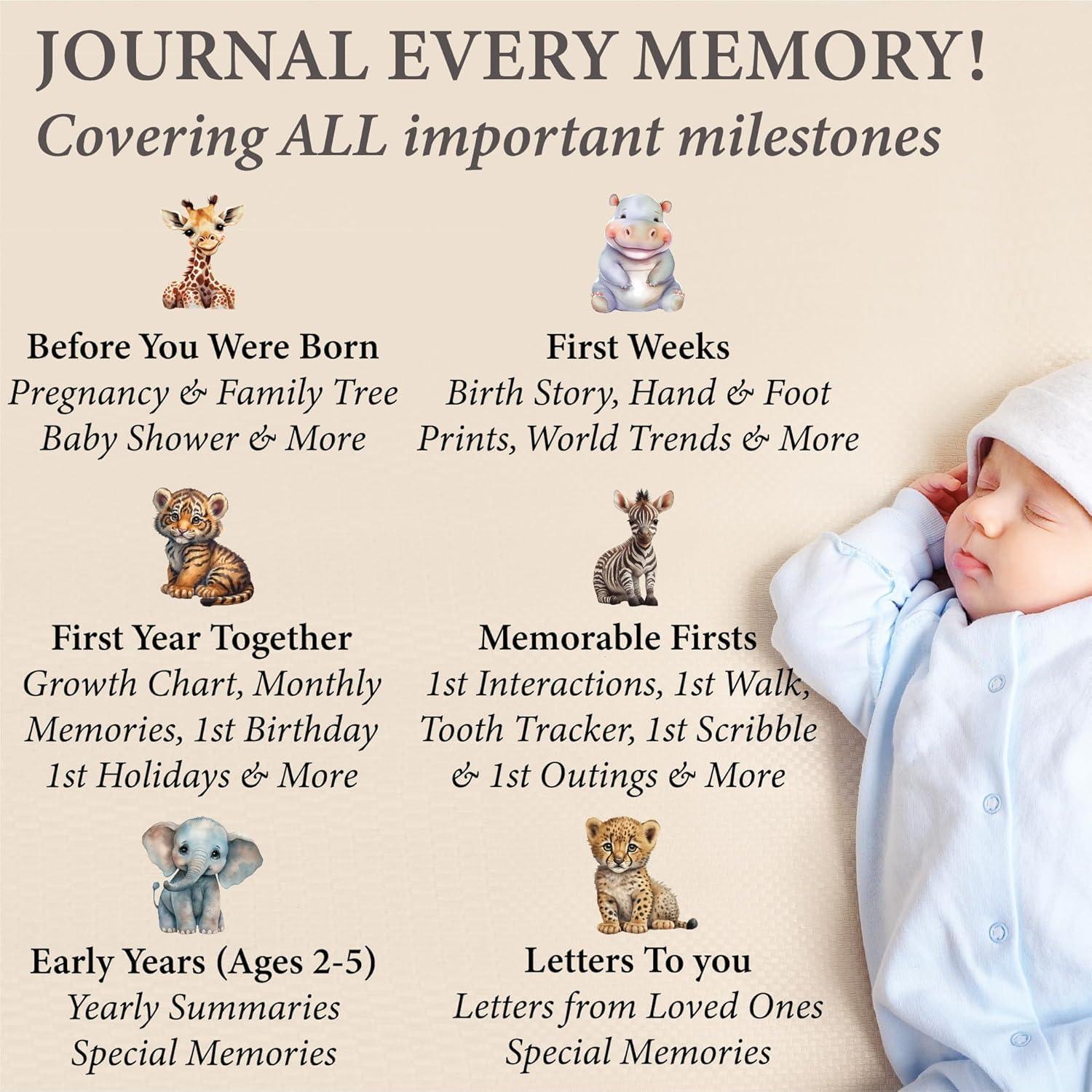 CV Charvoria ring binder enables easy insertion of keepsakes and future memories.