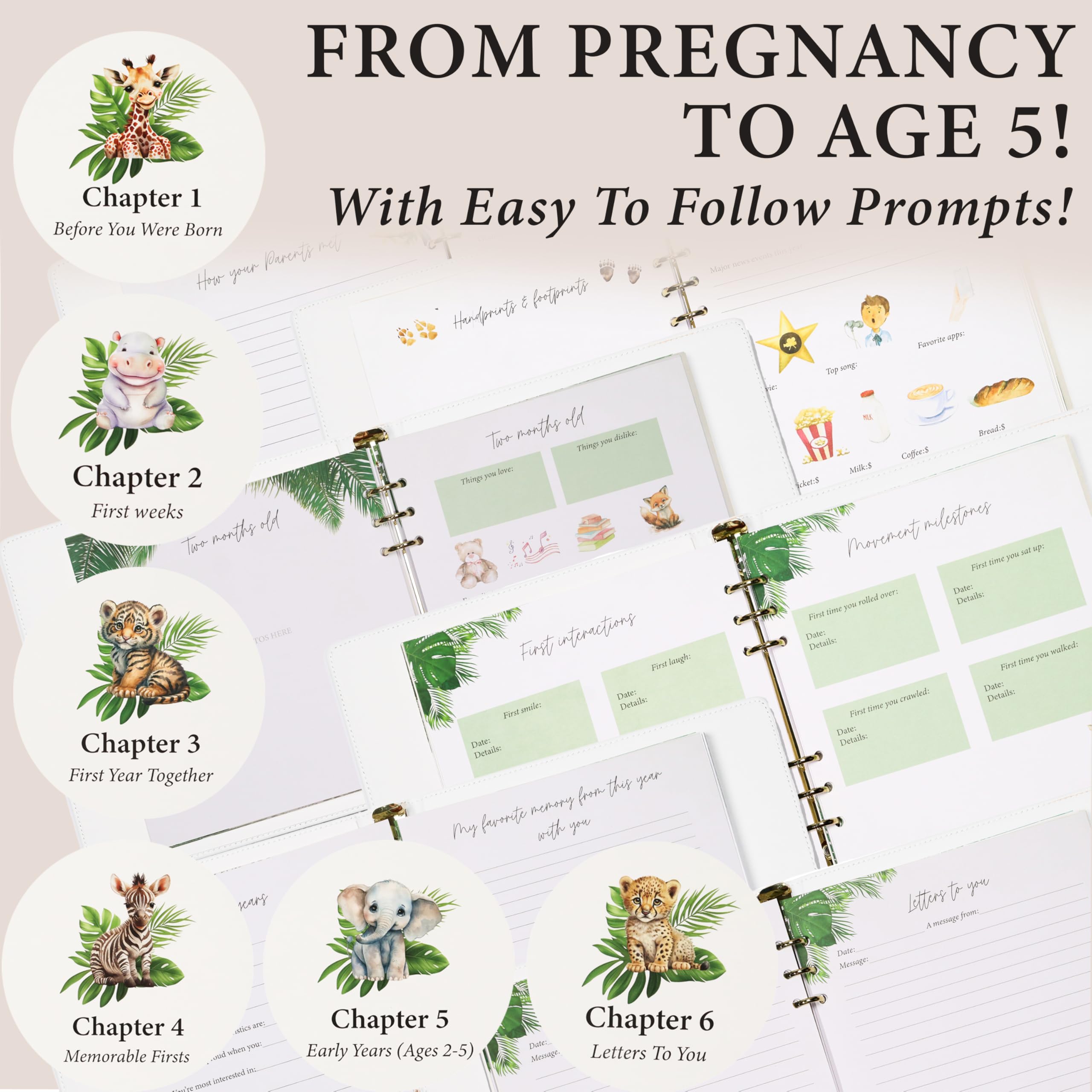 CV Charvoria safari theme illustrations enhance storytelling for baby milestones.