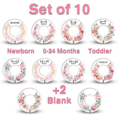 Dabancy floral 0-3m divider for fast visual sizing in nursery