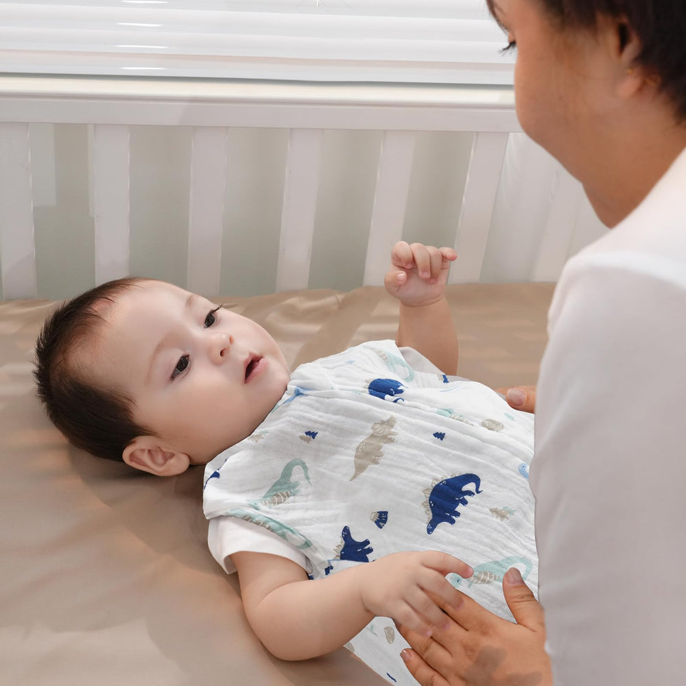 David's Kids two-pack display—convenient wearable blankets for baby comfort.