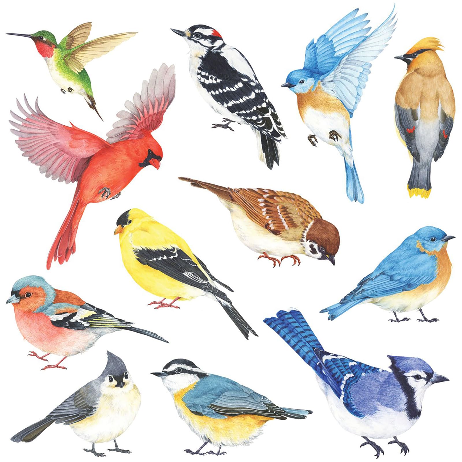 DECOWALL DS2-8042 Little Birds sheets — playful nursery decor that's easy to apply.