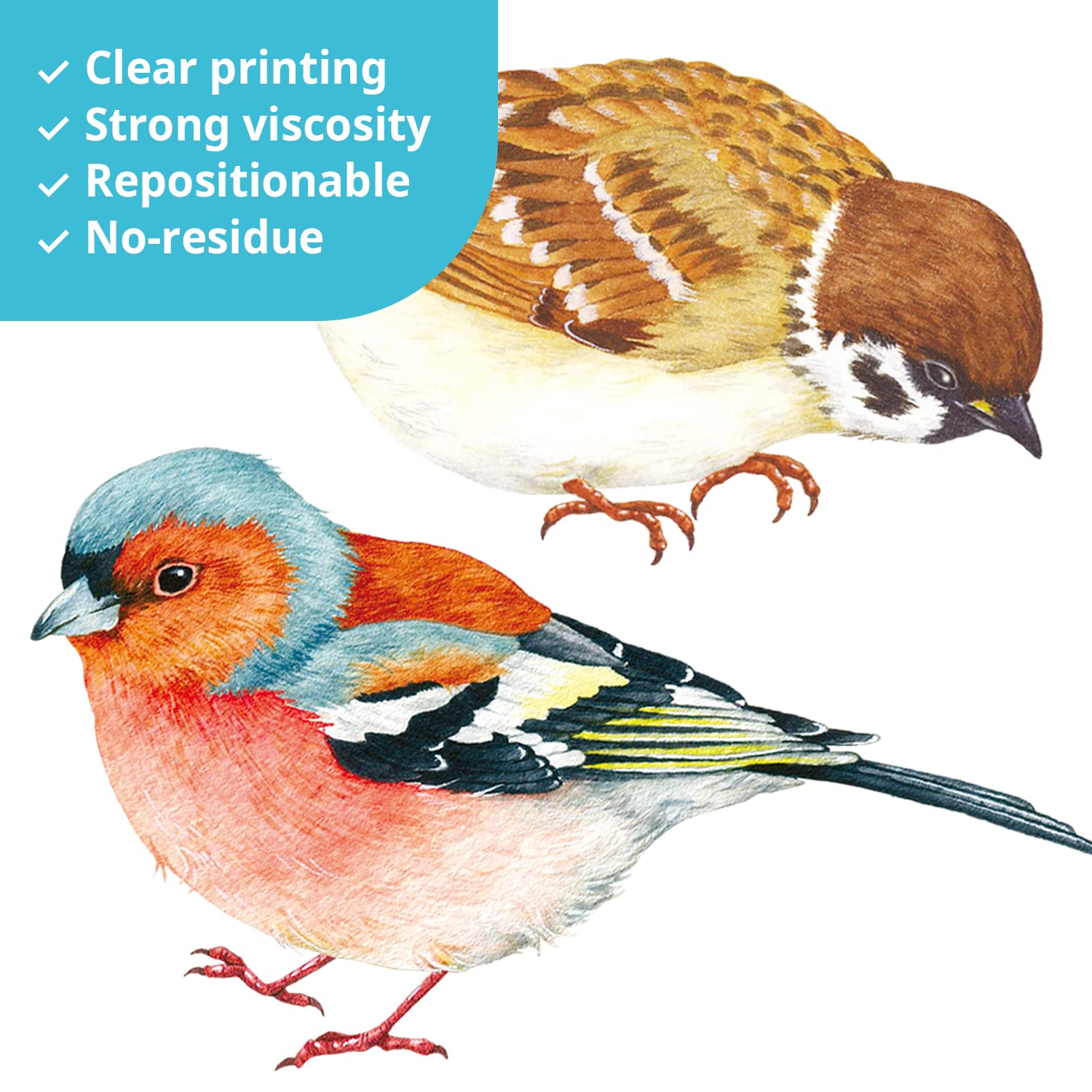 Decowall DS4-8063 bird wall decal closeup shows crisp, premium design.