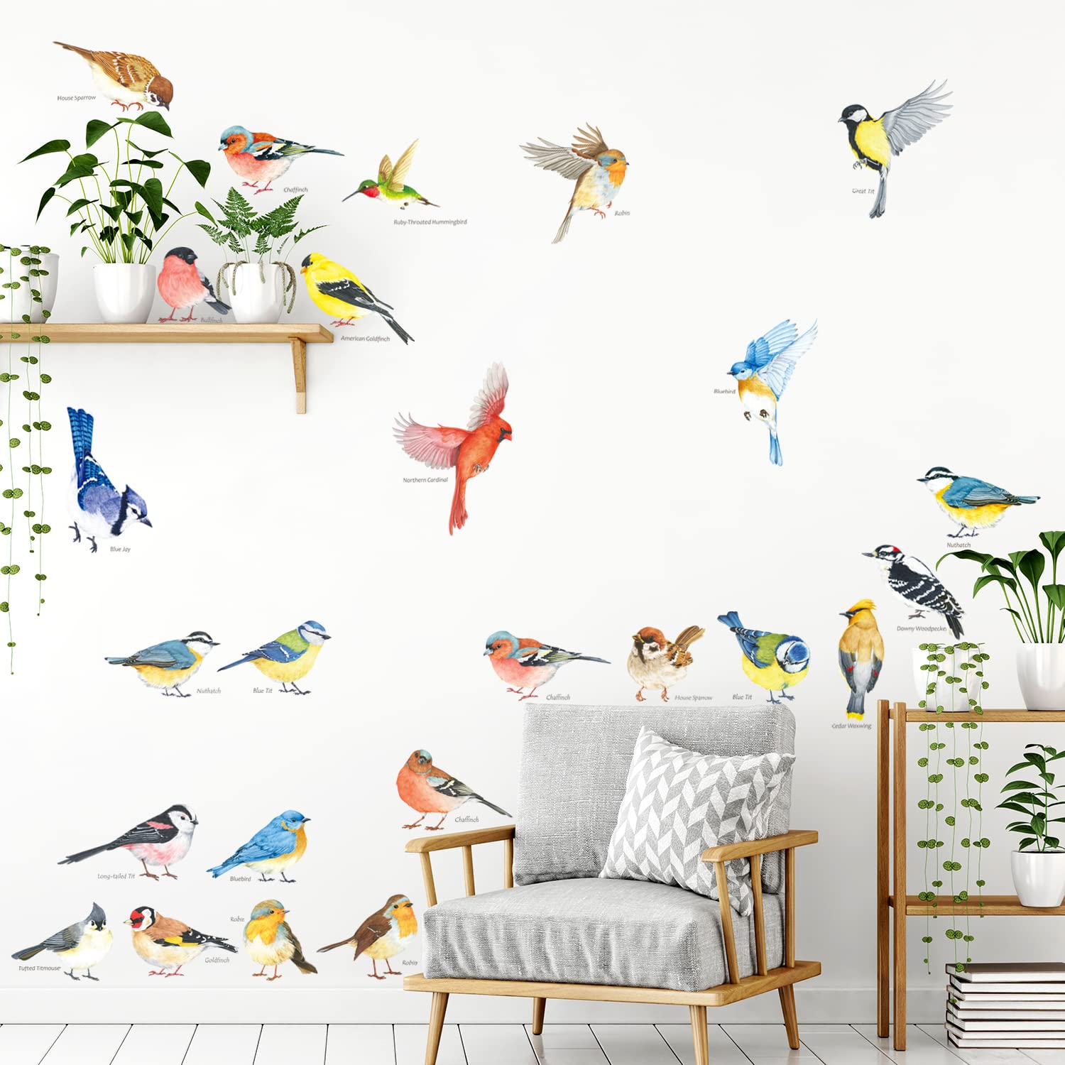 Decowall DS4-8063 colorful bird florals brighten any play space with whimsy.